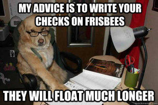 Financial Advice Dog