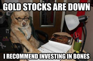 Financial Advice Dog