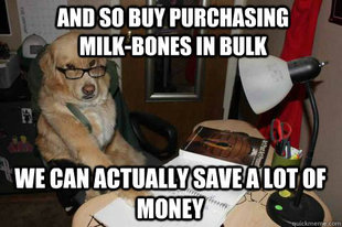 Financial Advice Dog