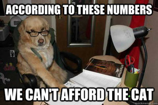 Financial Advice Dog