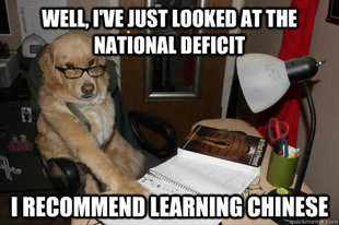 Financial Advice Dog