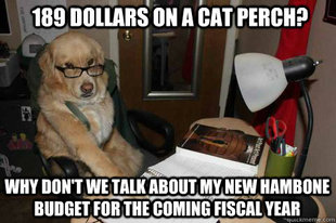 Financial Advice Dog