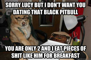 Financial Advice Dog