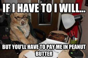 Financial Advice Dog