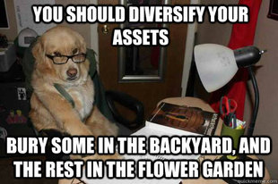 Financial Advice Dog