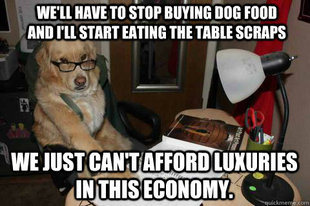 Financial Advice Dog