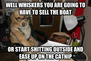 Financial Advice Dog