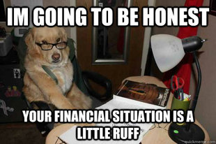 Financial Advice Dog