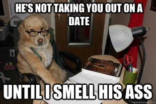 Financial Advice Dog
