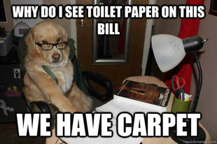 Financial Advice Dog
