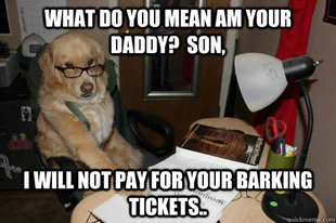 Financial Advice Dog
