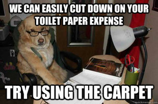 Financial Advice Dog