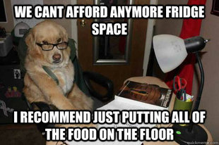 Financial Advice Dog