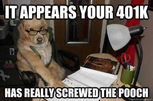Financial Advice Dog