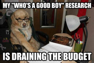 Financial Advice Dog