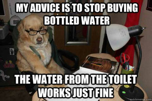 Financial Advice Dog