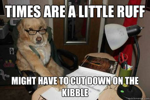 Financial Advice Dog