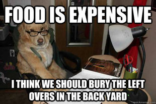 Financial Advice Dog