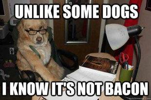 Financial Advice Dog