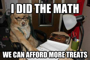Financial Advice Dog