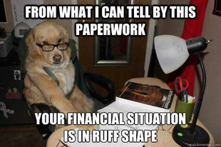 Financial Advice Dog