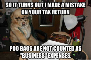Financial Advice Dog