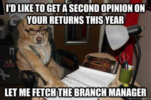Financial Advice Dog