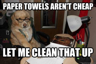 Financial Advice Dog