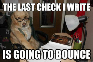 Financial Advice Dog