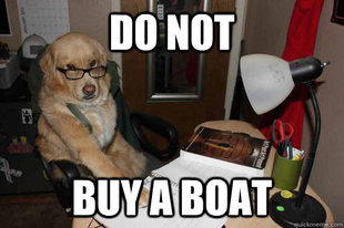 Financial Advice Dog