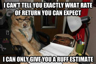 Financial Advice Dog
