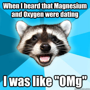 Lame Pun Coon