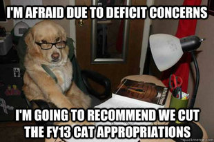 Financial Advice Dog