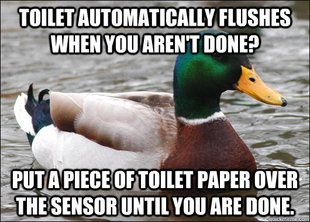 Actual Advice Mallard