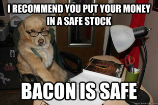 Financial Advice Dog