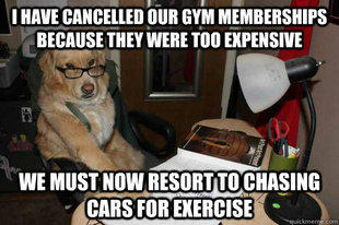 Financial Advice Dog
