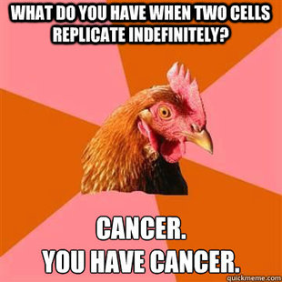 anti joke chicken