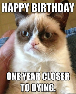 Grumpy cat