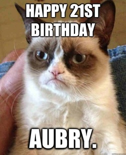 Grumpy cat