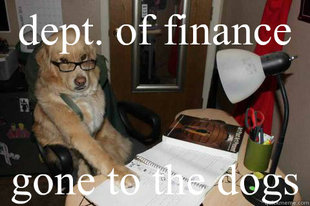 Financial Advice Dog