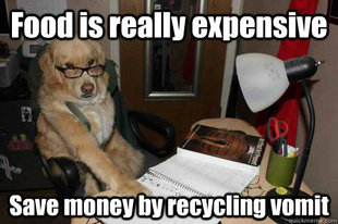Financial Advice Dog