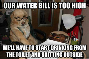 Financial Advice Dog