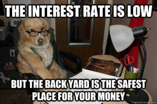 Financial Advice Dog