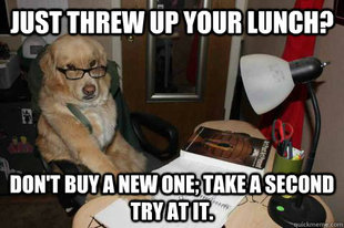 Financial Advice Dog