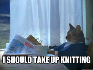 morning realization newspaper cat meme