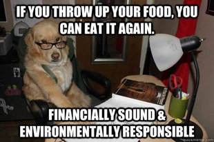 Financial Advice Dog