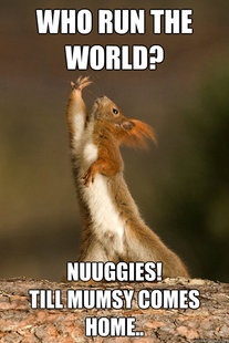 Who Run The World Squirrels