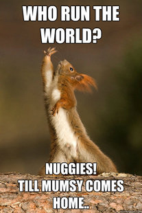 Who Run The World Squirrels
