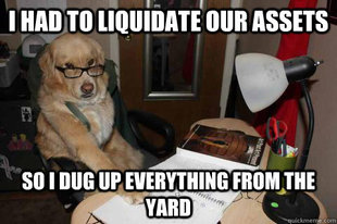 Financial Advice Dog