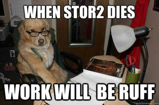 Financial Advice Dog